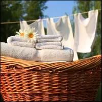 Clean Cotton Wax Melt